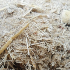 BAGASSE FUEL ESBEE